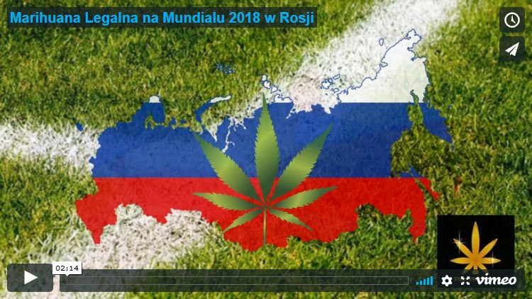 Marihuana, Legalna, Mundial, 2018, Rosji